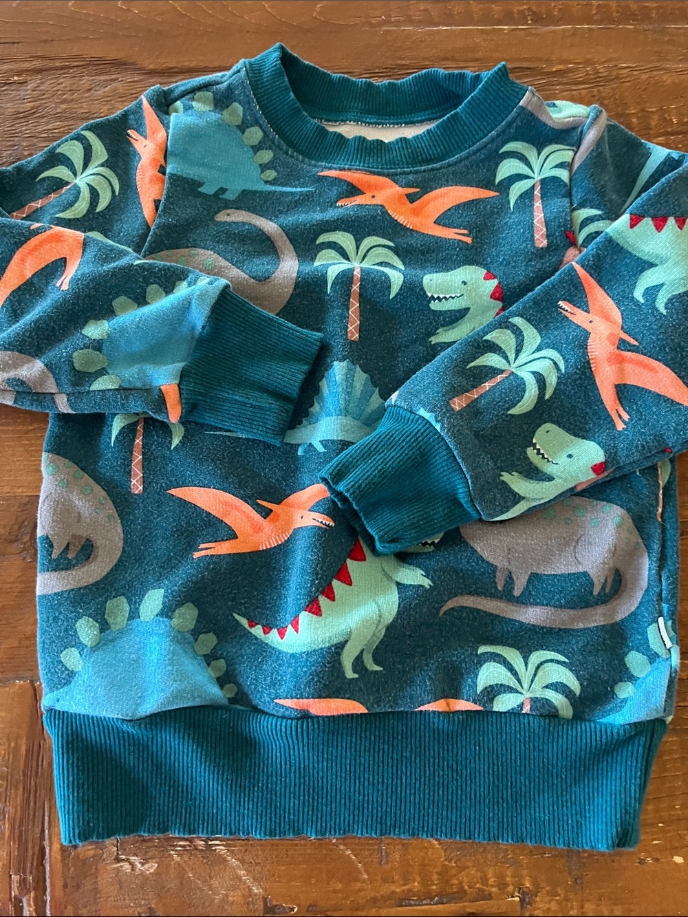 Little Sleepies 2T Dino sweatshirt VGUC